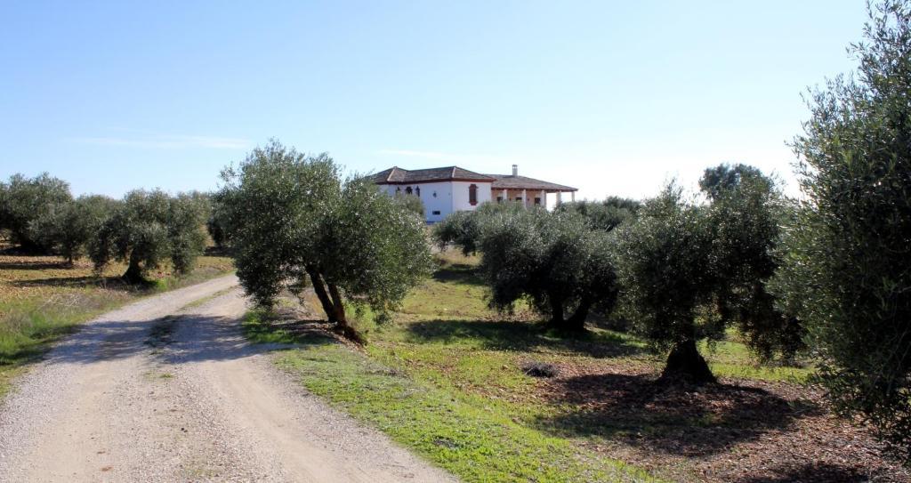 Casa Rural La Serrana La Carlota Exterior photo